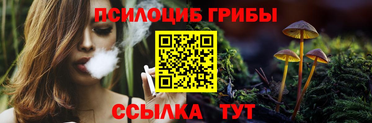 Галлюциногенные грибы GOLDEN TEACHER Россия