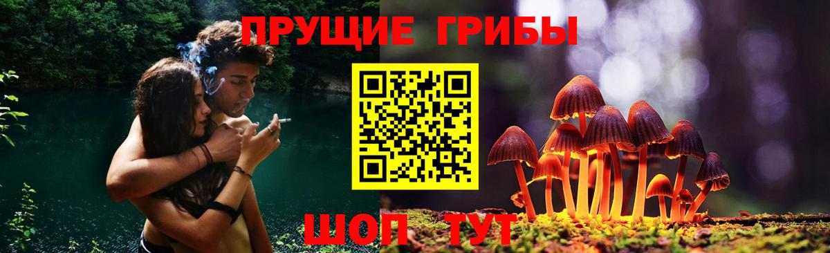Россия  Галлюциногенные грибы мицелий  Вход с VPN  Псилоцибиновые грибы мицелий 